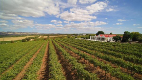 1837 Barossa Luxury Vineyard Cottages, Lyndoch